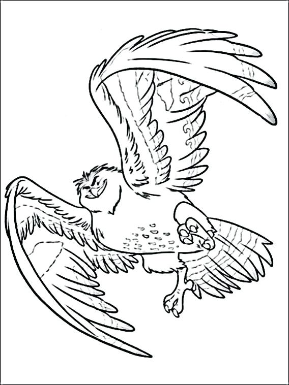 Moana Coloring Pages Printable Or Baby And Friends 13 Online 568x758 Moana Coloring Pages Printable Or Baby And Friends 13 Online