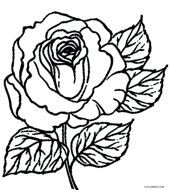 550x614 Roses Coloring Pages Printable Rose Coloring Pages Best