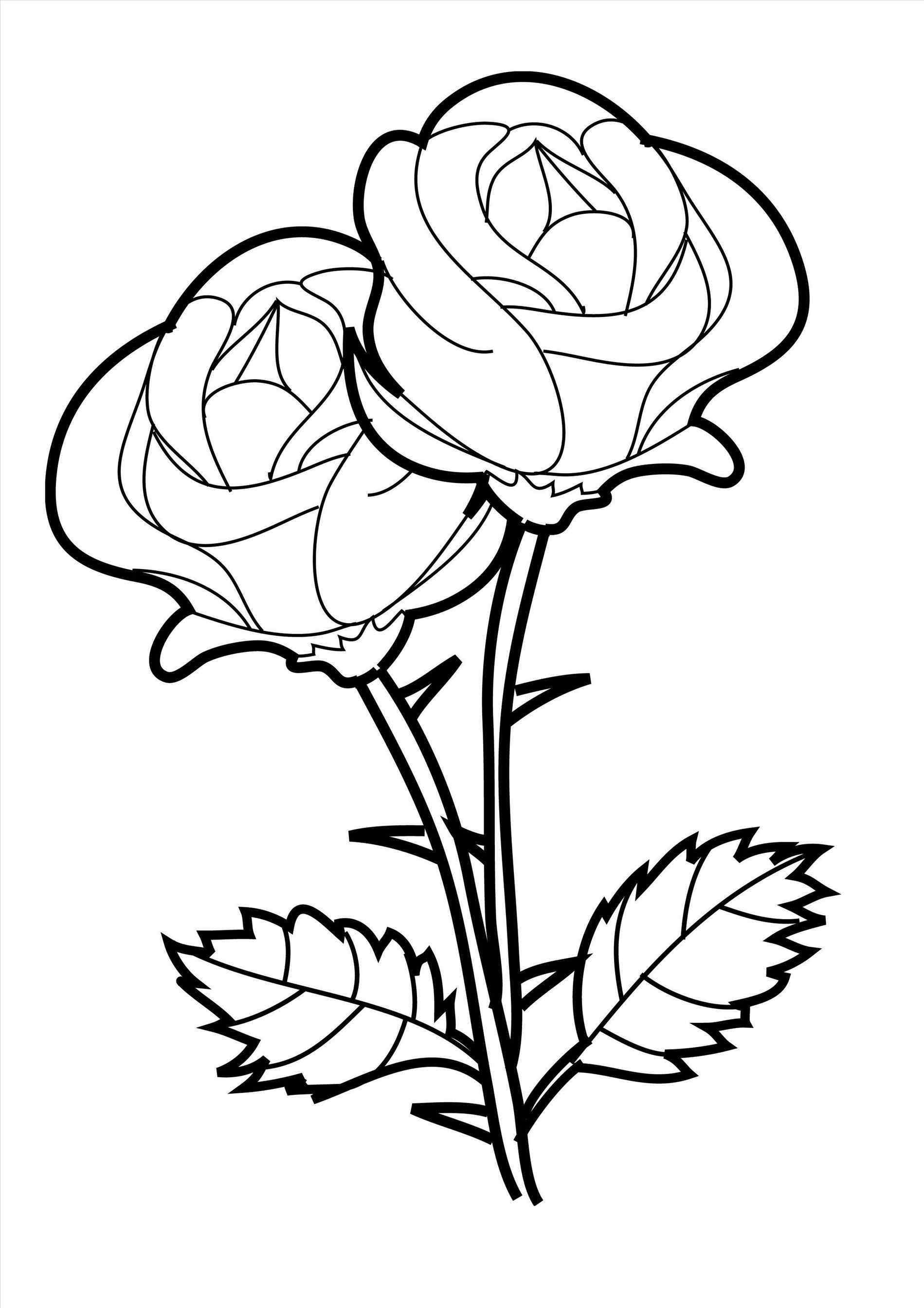 1899x2687 Roses Valentines Day Roses Coloring Pages Color Pages Free