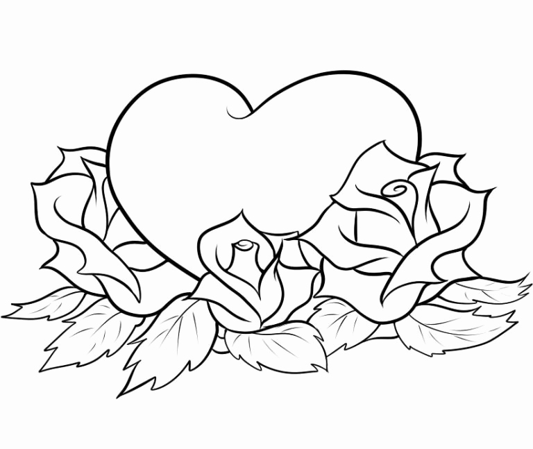 768x647 Flowers Coloring Pages Rose Ohmygirl.us