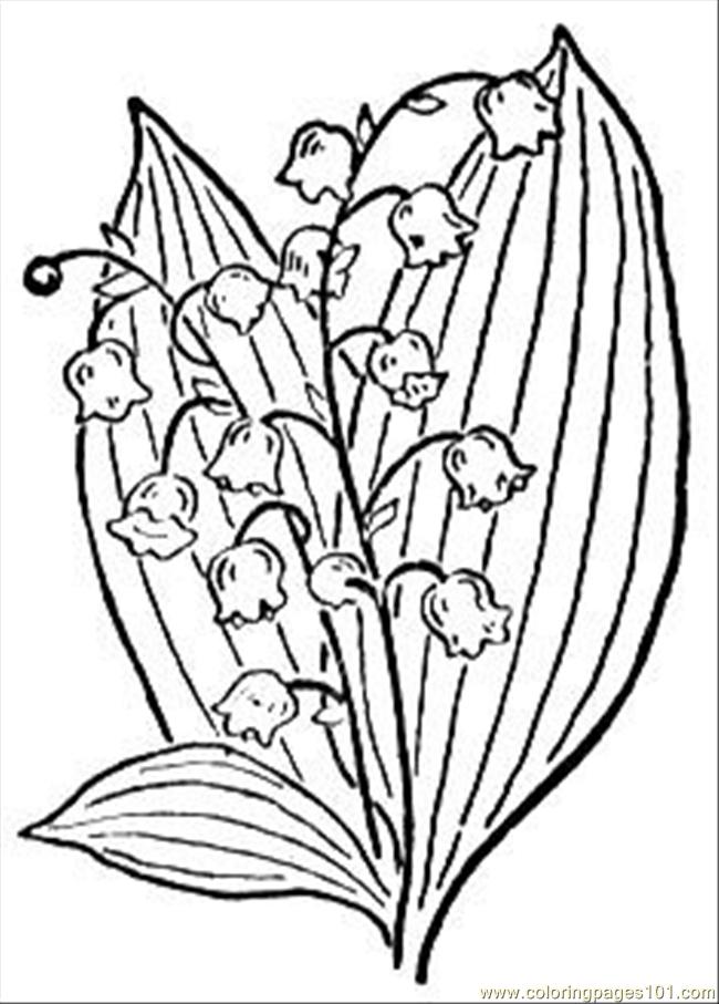 650x907 Lily Of The Valley 2 Coloring Page