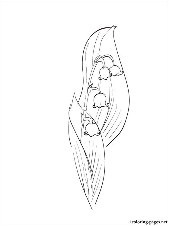 560x750 May Coloring Page Lily Of The Valley Coloring Pages Month By