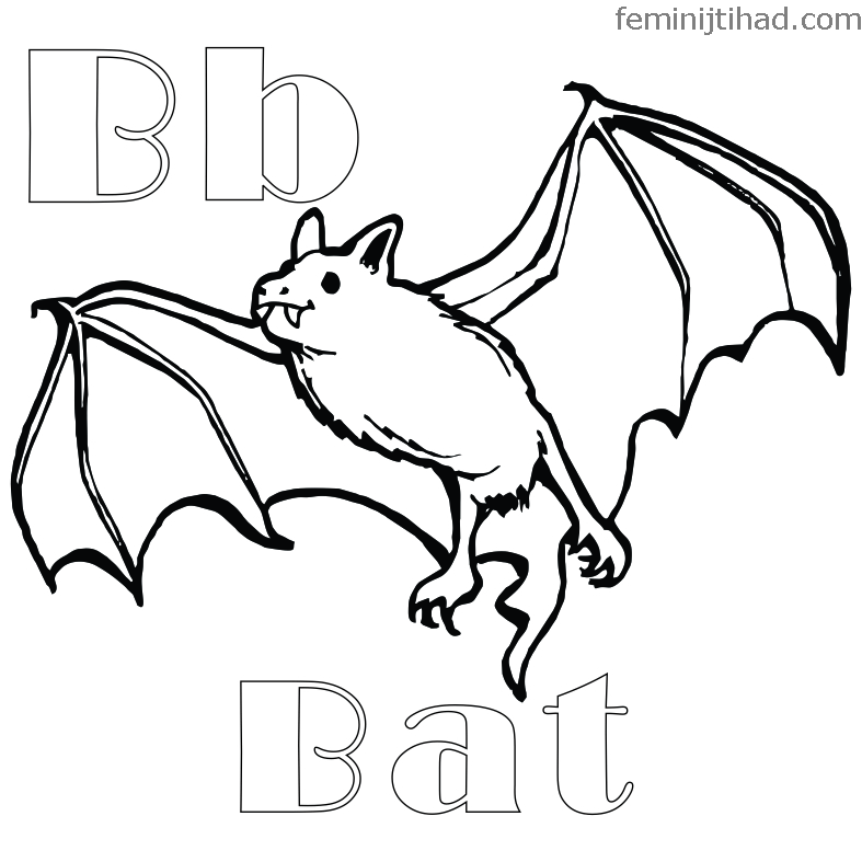 787x787 Bat Coloring Pages, Download Here For Free Coloring Pages For Kids