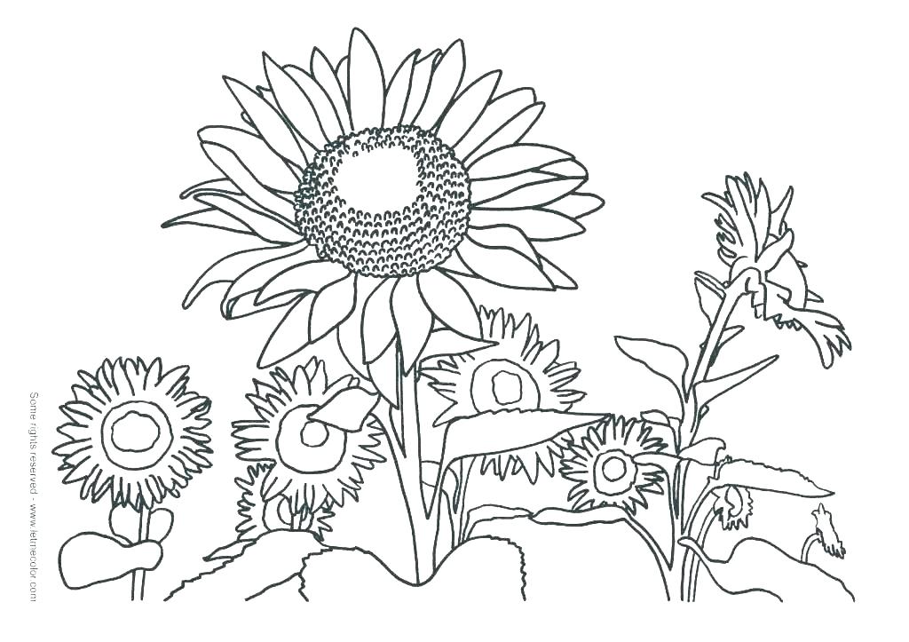 1024x723 Van Gogh Coloring Pages Van Coloring Pages Printable Coloring Book