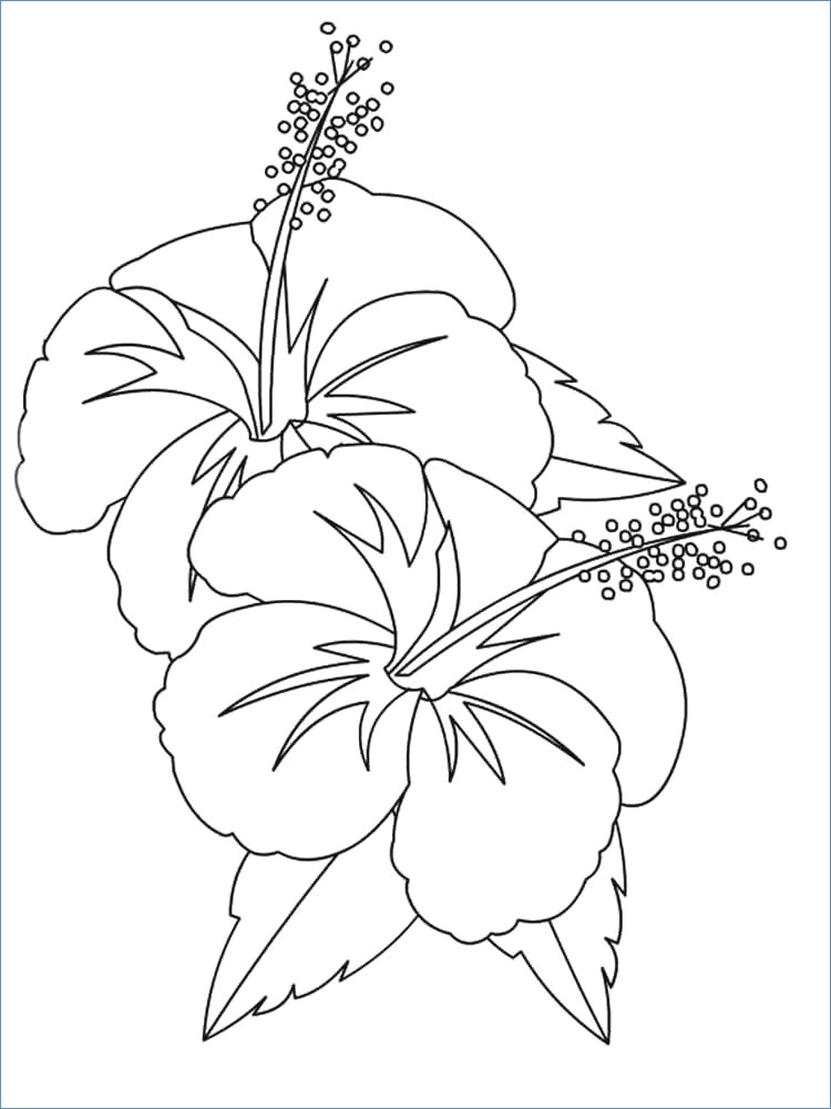 750x1000 Free Coloring Pages Flower Vase