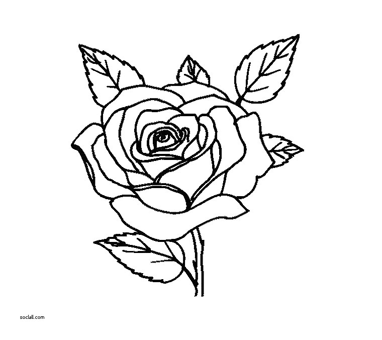 760x676 Fresh Flowers In Vase Coloring Pages