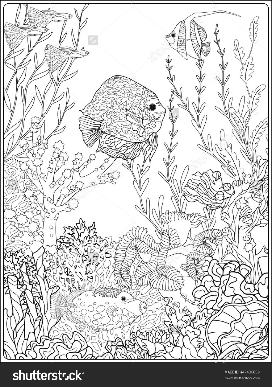 Adult Coloring Book. Coloring Page With Underwater World Coral 1127x1600 Adult Coloring Book. Coloring Page With Underwater World Coral