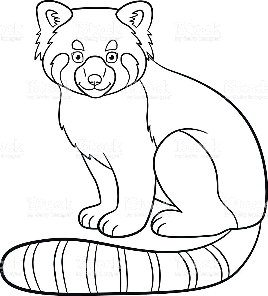 Awesome Coloring Pages Little Cute Red Panda Smiles Stock Vector 925x1024 Awesome Coloring Pages Little Cute Red Panda Smiles Stock Vector