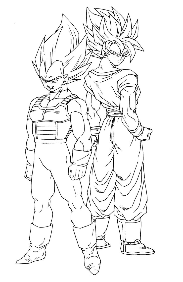 736x1133 Dragon Ball Z Goku And Vegeta Drawing