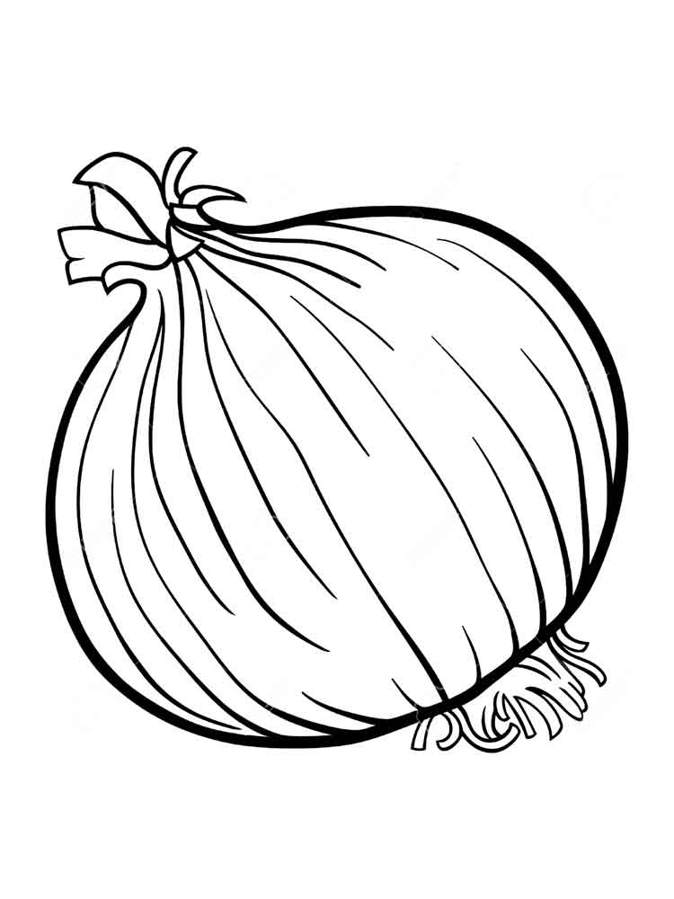 750x1000 Onion Vegetable Coloring Pages