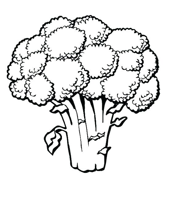 568x650 Vegetable Coloring Pages Fruits And Vegetables Coloring Sheets