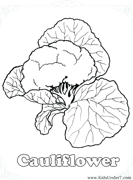 556x749 Printable Coloring Pages Vegetables Coloring Pages Of Vegetables