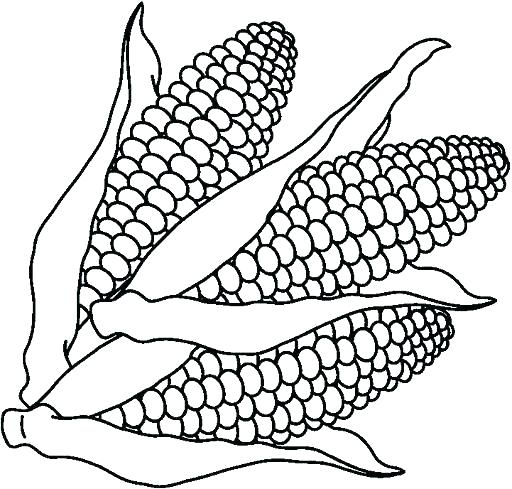 512x489 Squash Coloring Page Vegetables Coloring Pages Squash Coloring