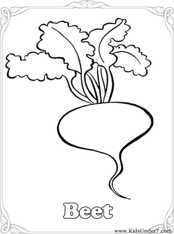 556x749 Vegetable Coloring Page Amazing Vegetable Coloring Sheets About