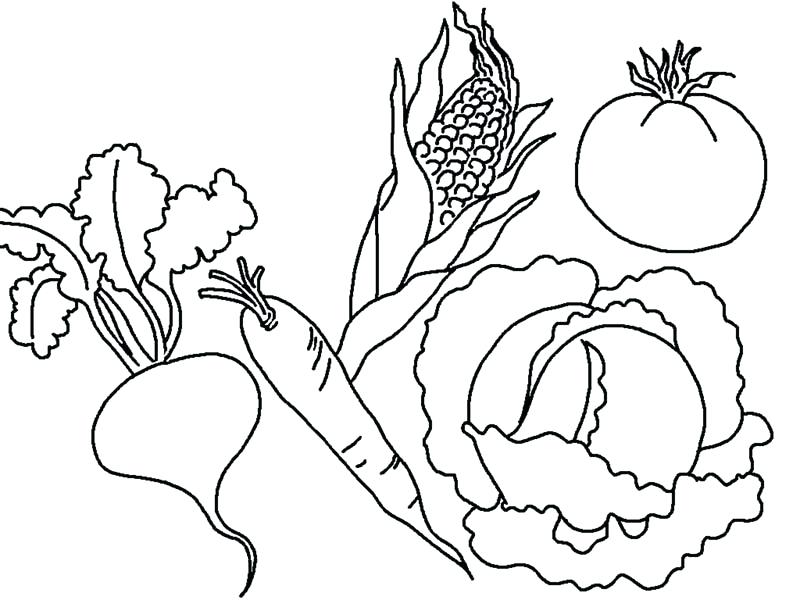 800x600 Vegetable Coloring Pages Vegetables Coloring Pages Amazing