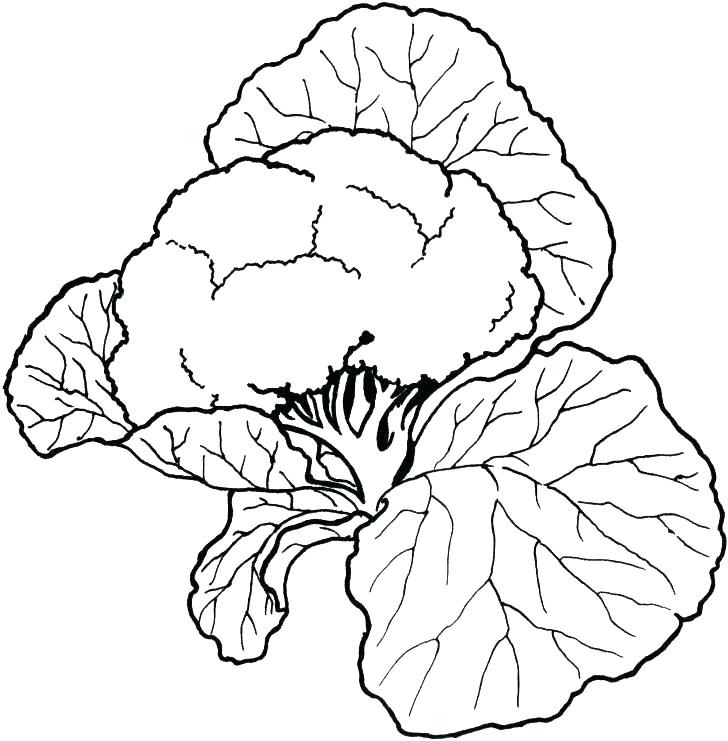 728x741 Vegetable Colouring Pages Printable Coloring Vegetables Coloring