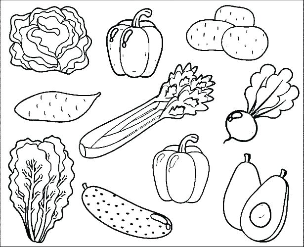 Vegetable Coloring Pages Fruit And Vegetable Coloring Pages Fruits 615x499 Vegetable Coloring Pages Fruit And Vegetable Coloring Pages Fruits