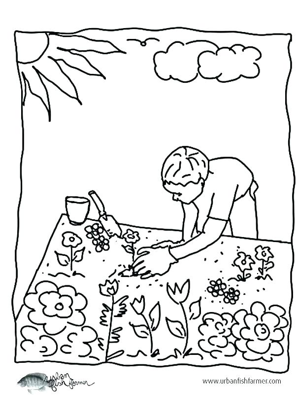Vegetable Garden Coloring Pages at GetColorings.com | Free printable ...