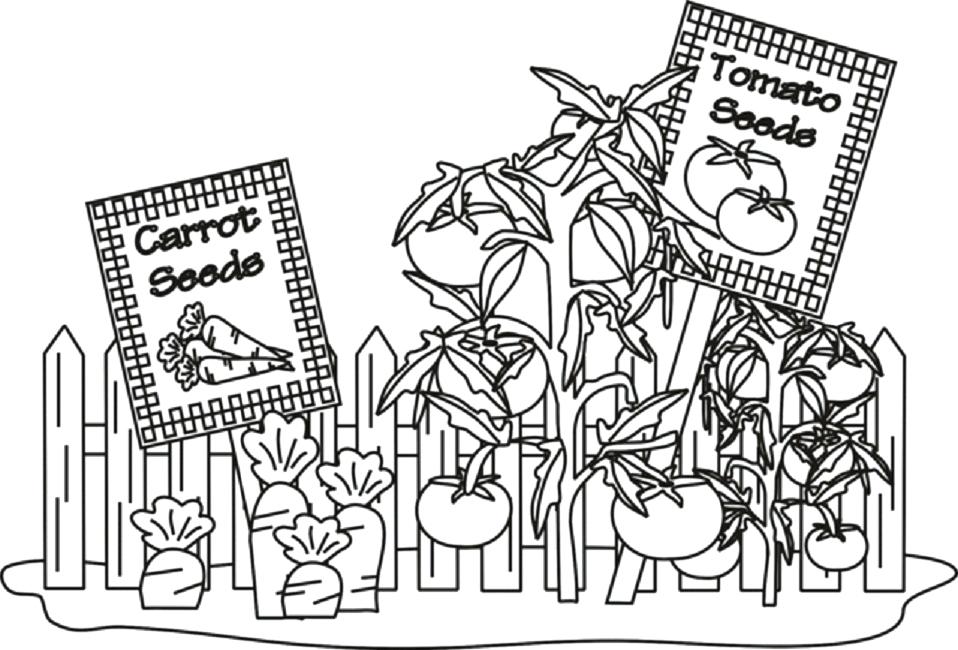 Free Printable Vegetable Garden Coloring Pages Free Coloring 958x650 Free Printable Vegetable Garden Coloring Pages Free Coloring