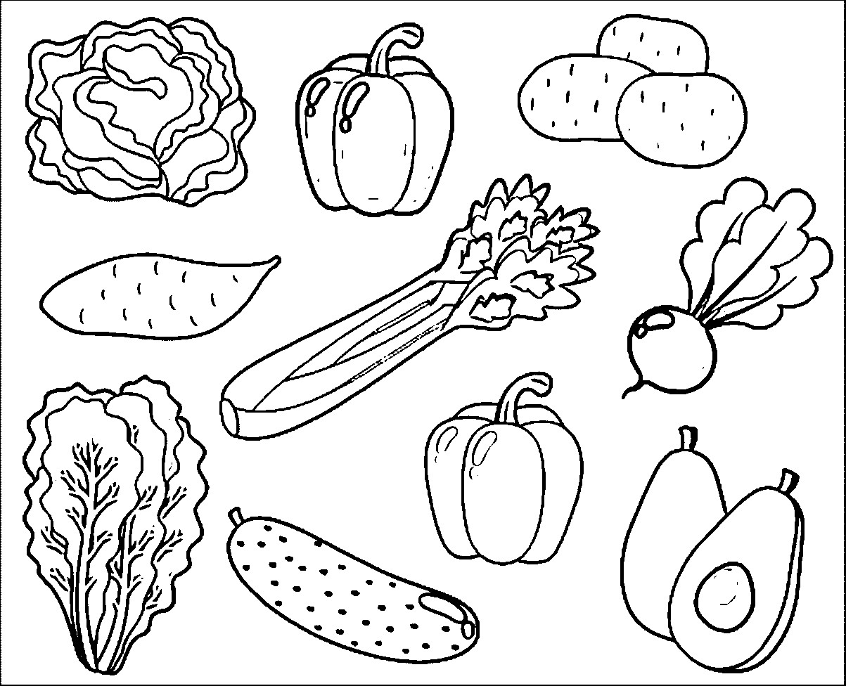 Sturdy Vegetables Coloring Pages For Kindergarten Copy Exploit Ve 1203x976 Sturdy Vegetables Coloring Pages For Kindergarten Copy Exploit Ve