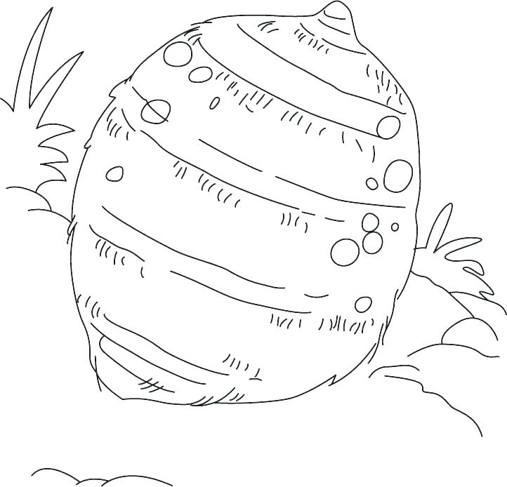 Vegetable Coloring Pages Coloring Pages Of Vegetables Vegetable 722x694 Vegetable Coloring Pages Coloring Pages Of Vegetables Vegetable