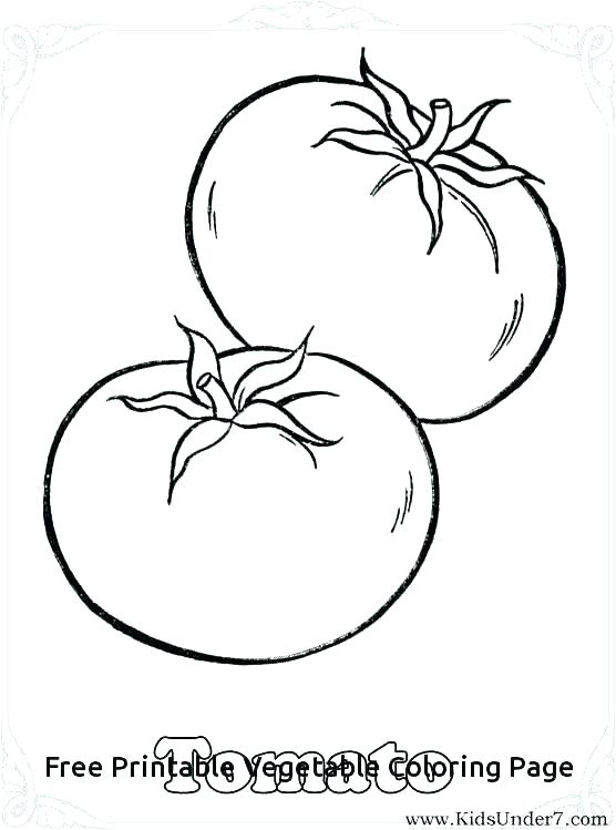 556x749 Printable Vegetable Coloring Pages Printable Ve Coloring Sheets