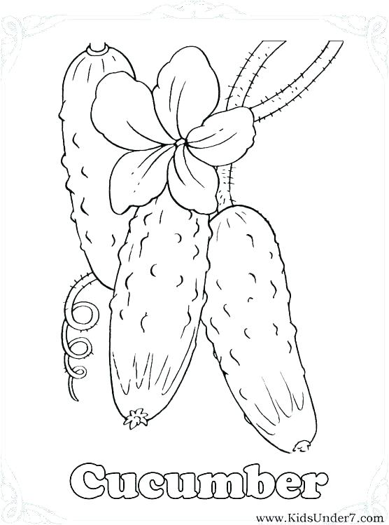 556x749 Vegetable Coloring Pages Vegetable Coloring Pages Vegetable