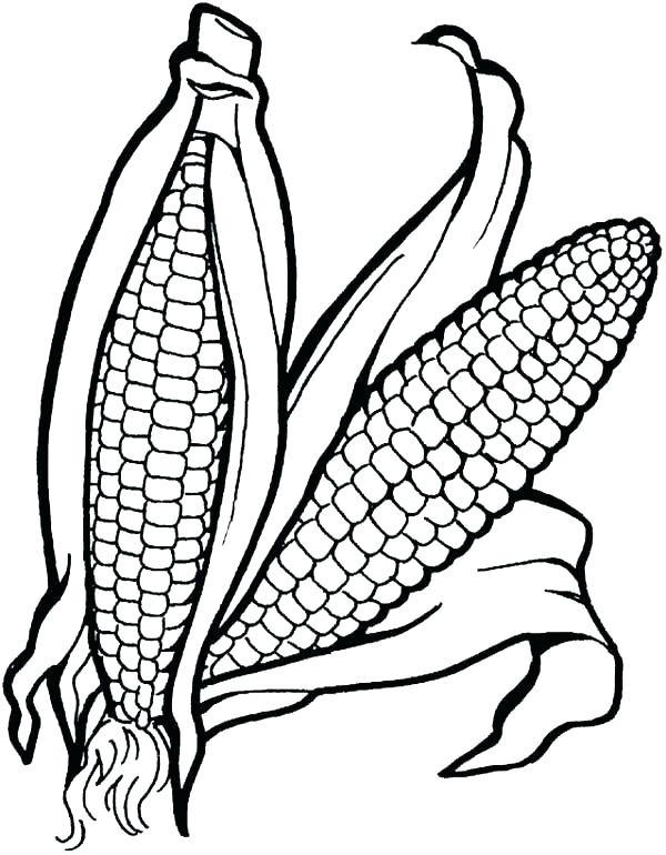 600x770 Elegant Coloring Pages Of Fruits And Vegetables For Kids And Free