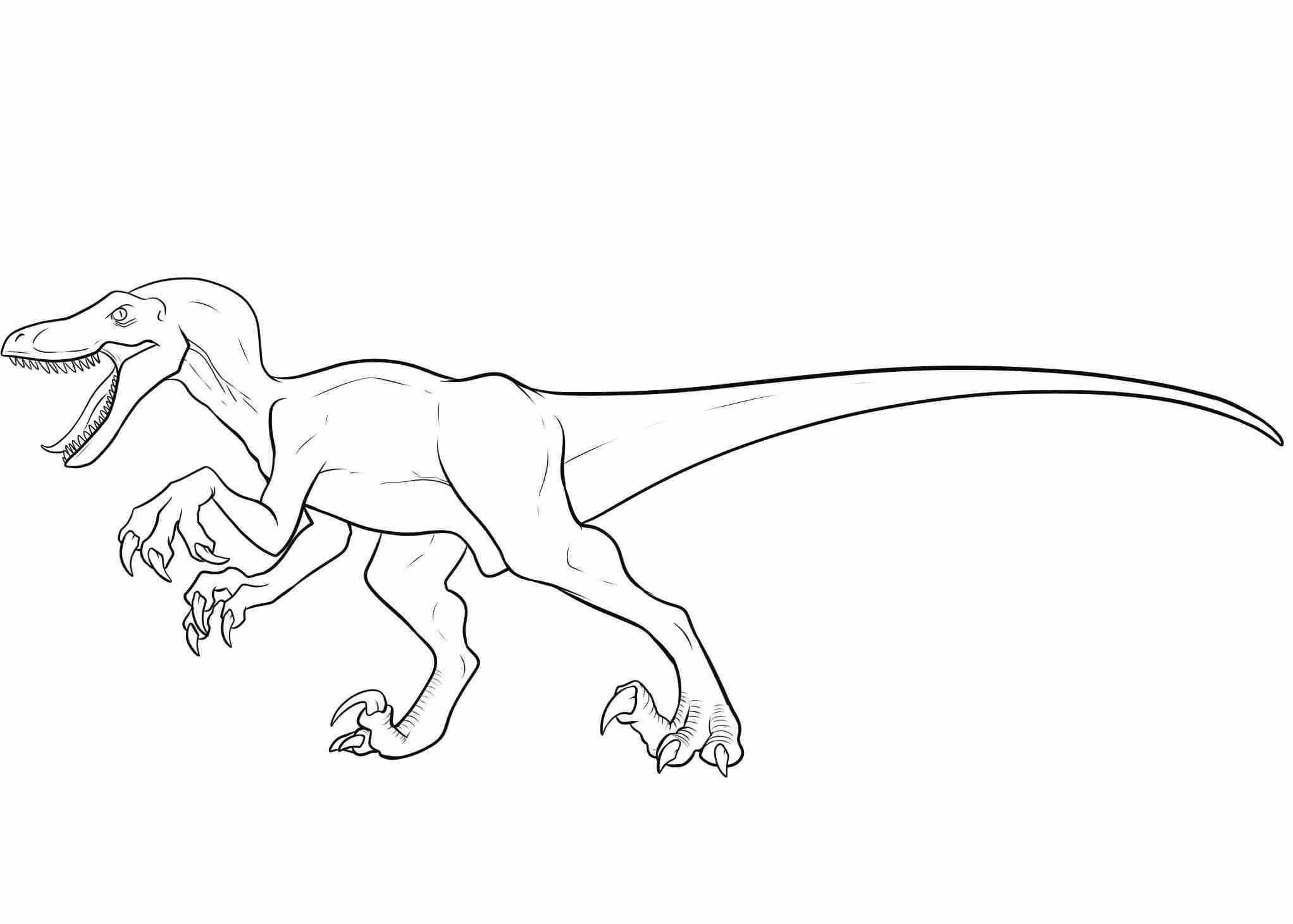 2044x1461 Velociraptor Coloring Page Beautiful Pages Beauteous Olegratiy