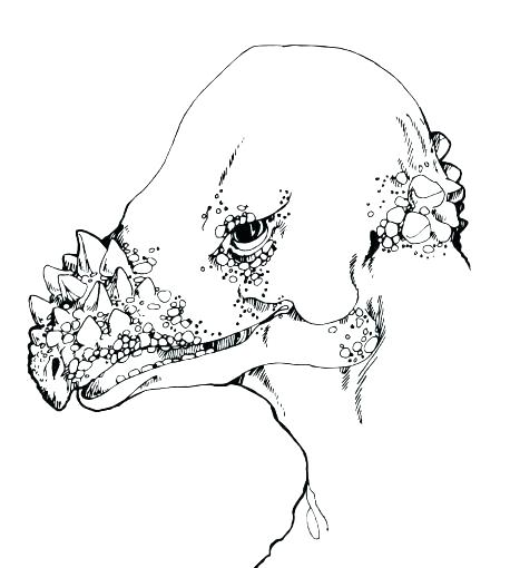 458x510 Coloring Pages Skeleton Drawings Coloring Trend Medium Coloring