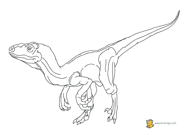 792x576 Velociraptor Coloring Page Coloring Page Coloring Pages Lingo Blue