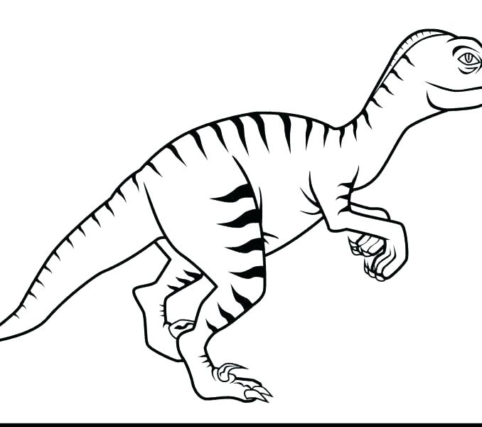 678x600 Velociraptor Coloring Page Dinosaur Coloring Pages Fresh Dinosaur