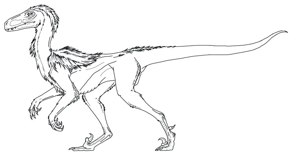 948x506 Velociraptor Coloring Page Printable Pages Kids With Wallpapers