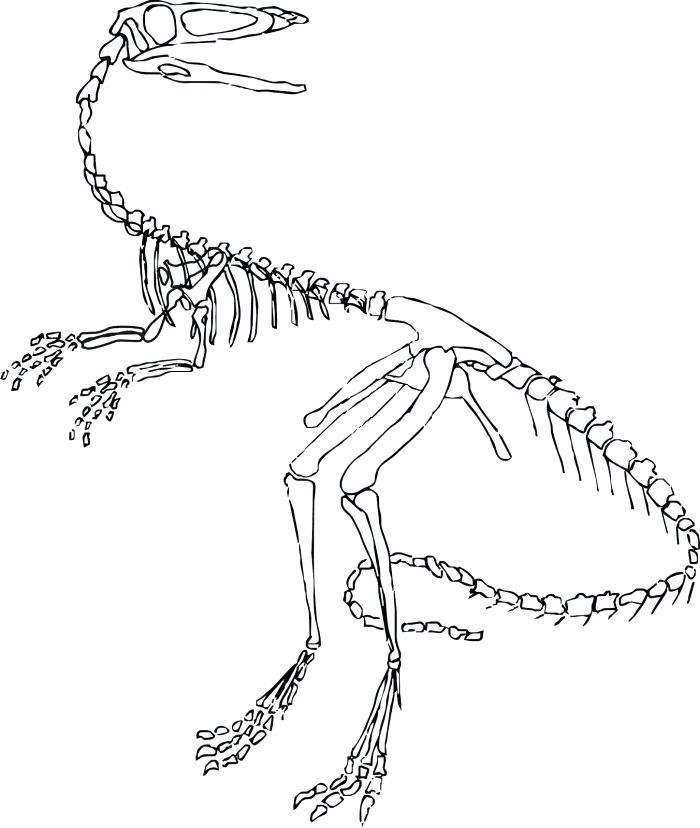 700x828 Velociraptor Coloring Pages Printable Dinosaur Coloring In Sheets