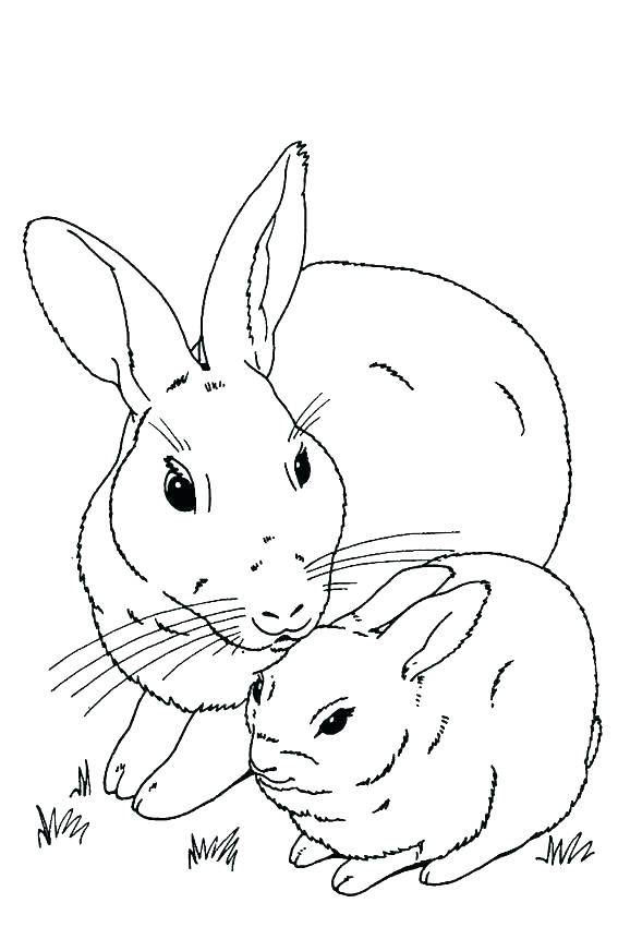 Velveteen Rabbit Coloring Pages at GetColorings.com | Free printable ...