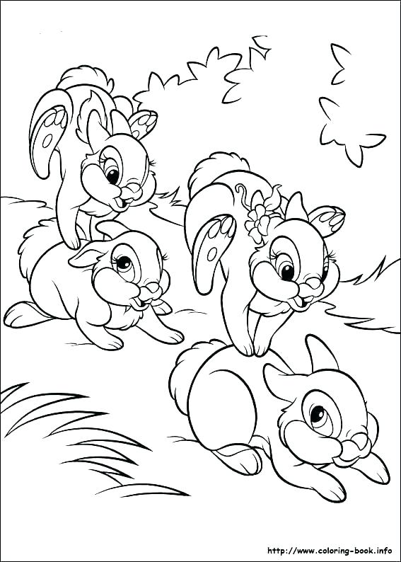 567x794 Rabbit Pictures To Color Rabbit Coloring Book And Rabbit Color