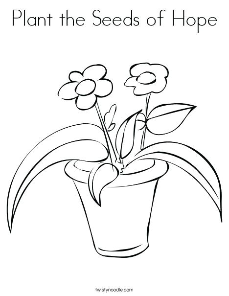 468x605 Venus Fly Trap Coloring Page Fly Trap Drawing To Draw A Flytrap