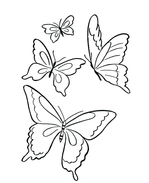 600x734 Venus Fly Trap Coloring Page Fly Trap In Black And White Royalty