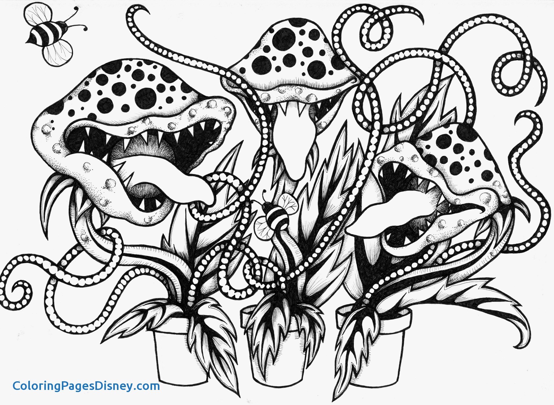 1800x1315 Venus Fly Trap Coloring Pages New Venus Fly Trap Coloring Page