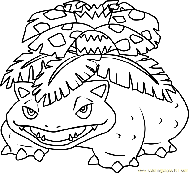 Pokemon Coloring Pages Venusaur 800x731 Pokemon Coloring Pages Venusaur