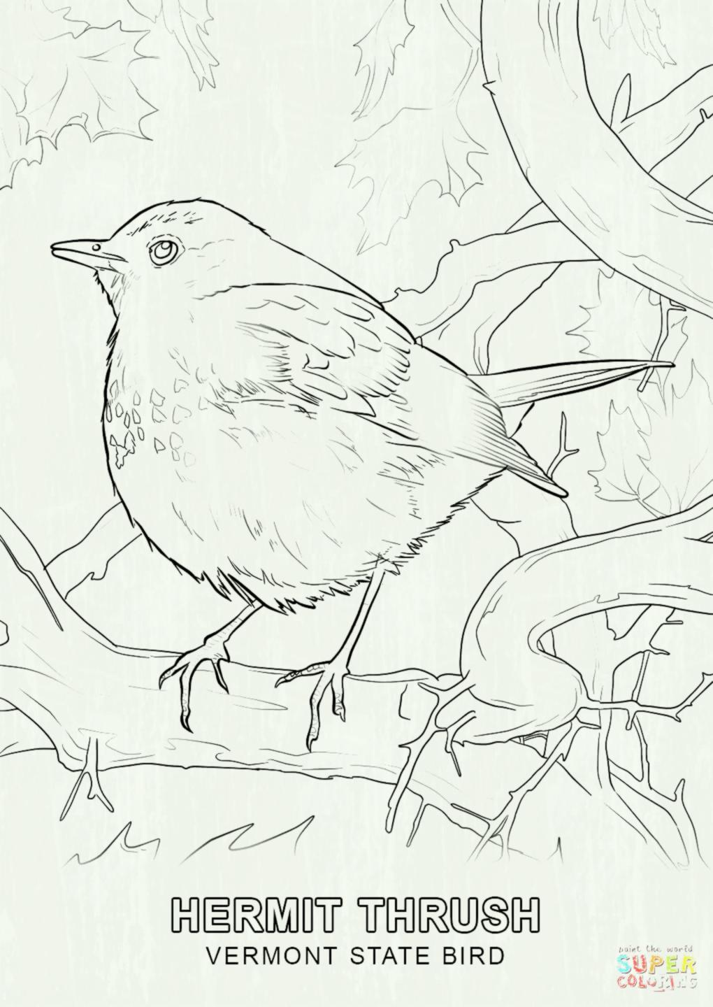 Free Printable Coloring Pages For Adults Advanced Romantic Flower 1020x1440 Free Printable Coloring Pages For Adults Advanced Romantic Flower