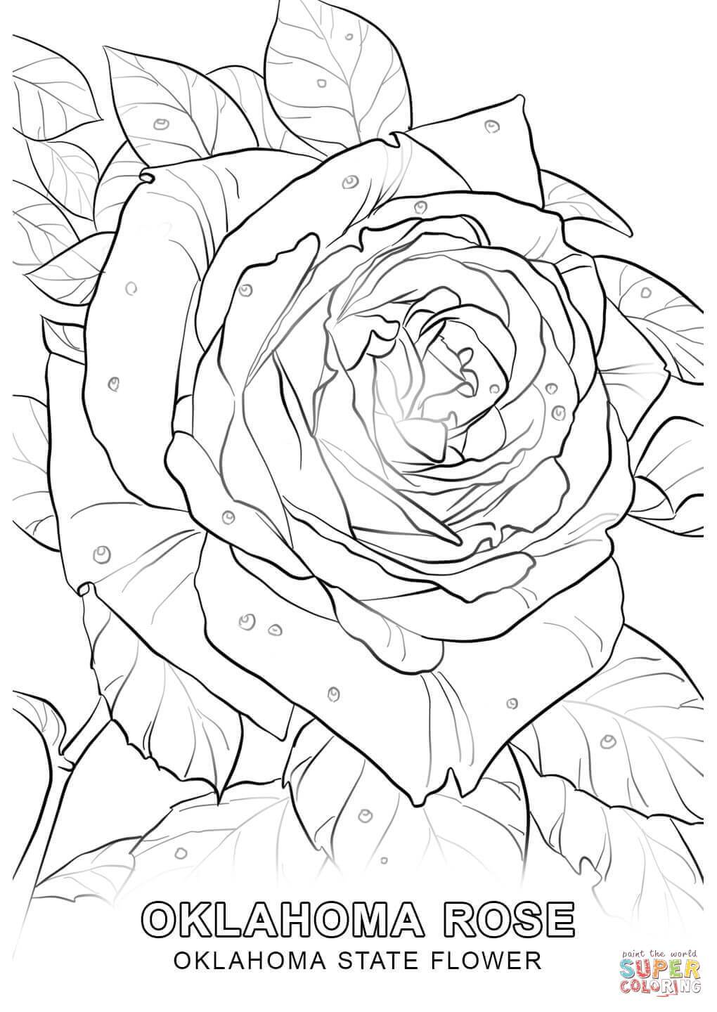 Marvelous Oklahoma State Flower Coloring Page Printable Pic 1020x1440 Marvelous Oklahoma State Flower Coloring Page Printable Pic