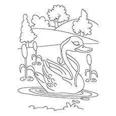 Top 10 Swan Coloring Pages For Your Little Ones 230x230 Top 10 Swan Coloring Pages For Your Little Ones
