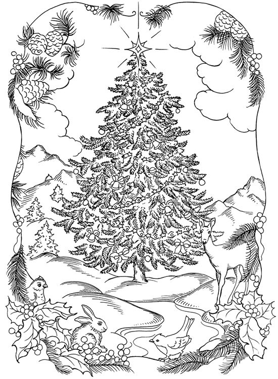 Advanced Christmas Printable Coloring Sheets Christmas Coloring 550x750 Advanced Christmas Printable Coloring Sheets Christmas Coloring