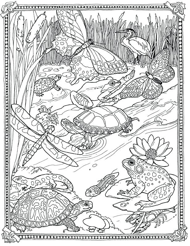 Superb Terrific Very Detailed Coloring Pages Image Kids Coloring 615x794 Superb Terrific Very Detailed Coloring Pages Image Kids Coloring