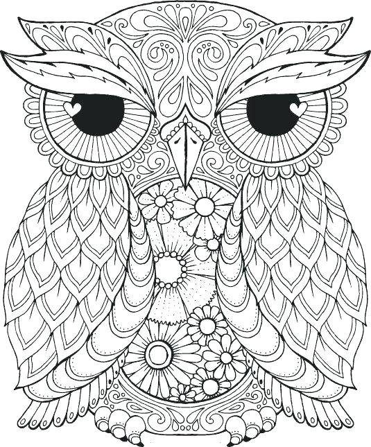 535x645 Cute Owl Coloring Pages To Print