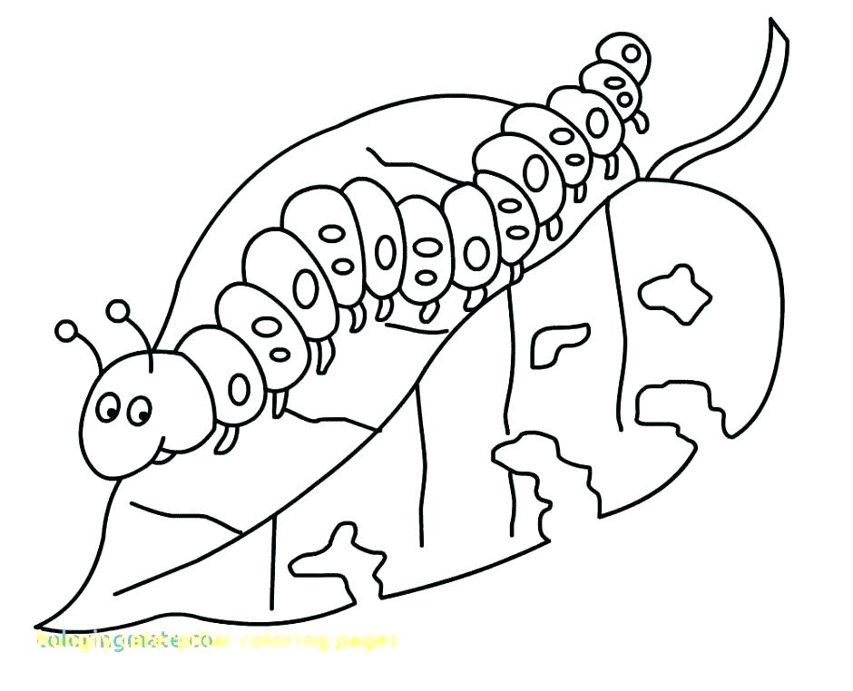 940x762 Hungry Caterpillar Coloring Pages Caterpillar Coloring Page