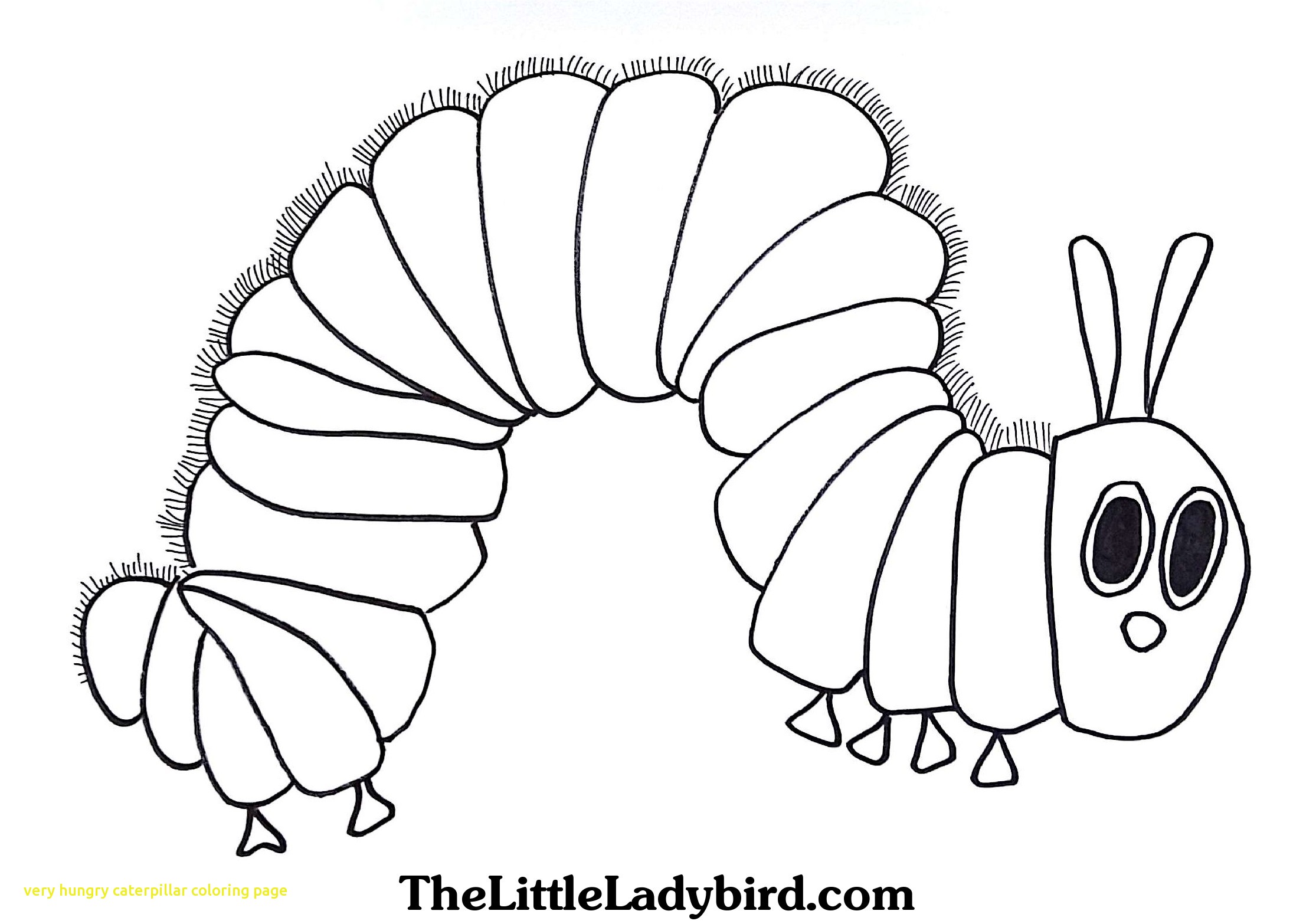 2230x1566 Very Hungry Caterpillar Coloring Page With Very Hungry Caterpillar