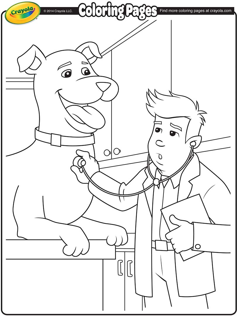 Veterinarian Coloring Page 810x1080 Veterinarian Coloring Page