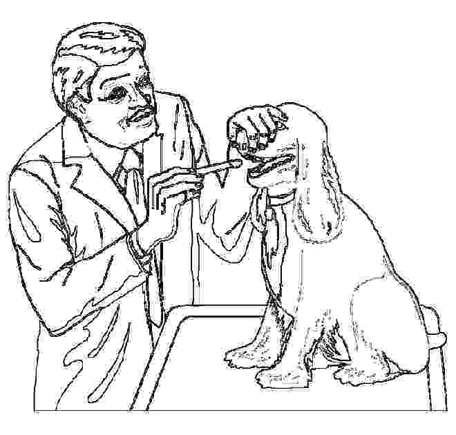 Veterinarian Coloring Pages Free Coloring Pages Fun Stuff 660x630 Veterinarian Coloring Pages Free Coloring Pages Fun Stuff
